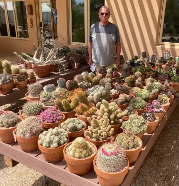 Scaled image image4.webp 