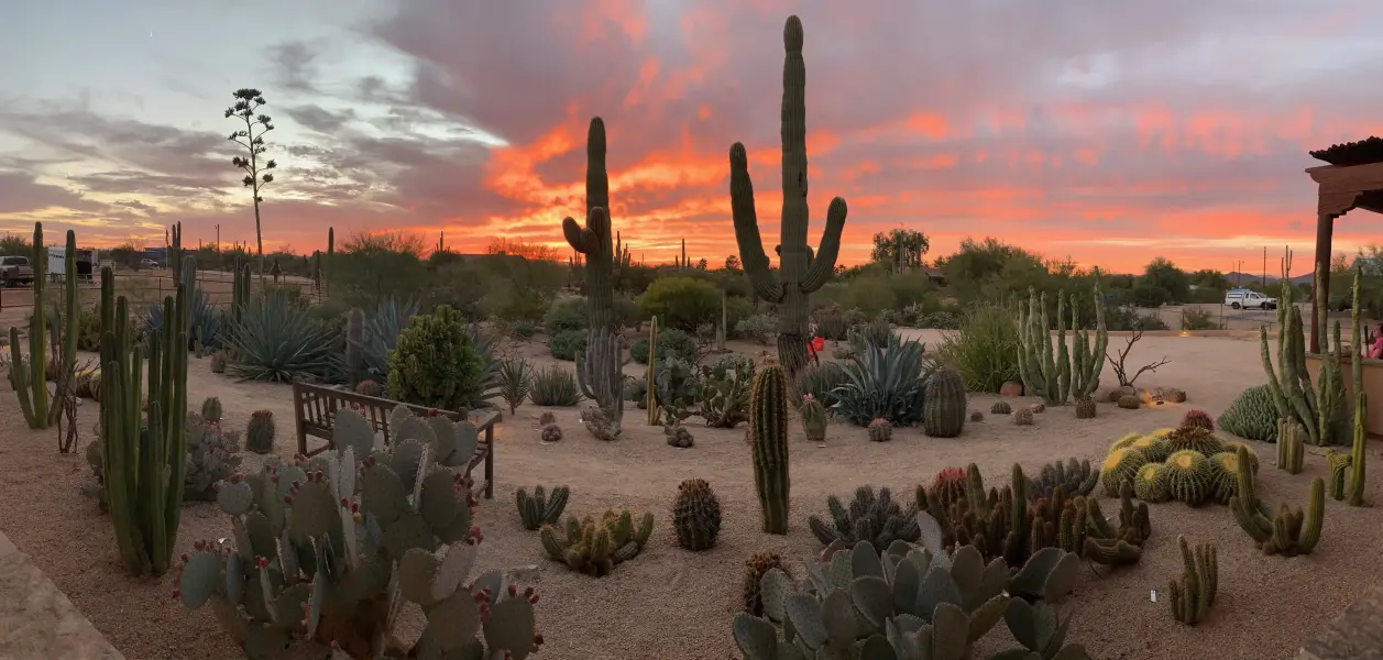 Scaled image image5.webp 