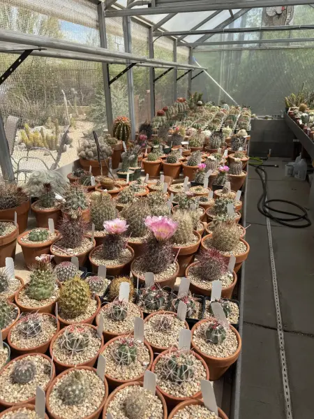 Scaled image image9.webp 