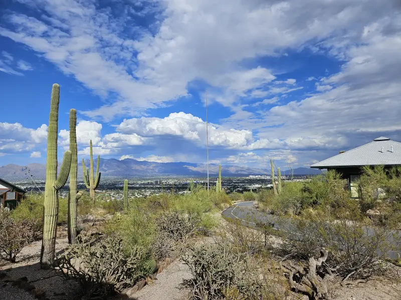 Scaled image TumamocHill .webp 