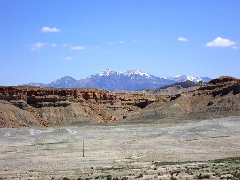 Scaled image P5042630.webp 