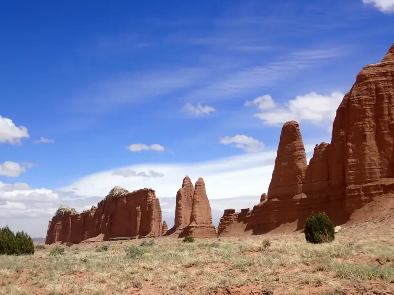 Scaled image P5052833.webp 