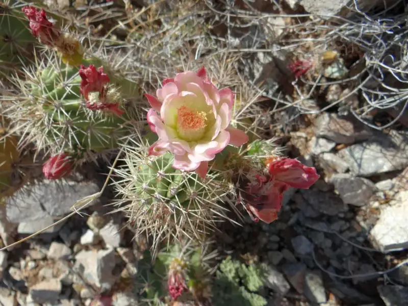 Scaled image DSC04700_new.webp 