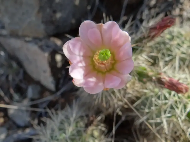 Scaled image DSC04730_new.webp 