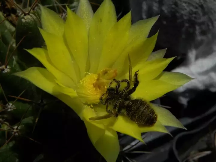 Scaled image DSCN0314_3.webp 