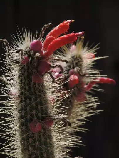 Scaled image DSCN0041_3.webp 