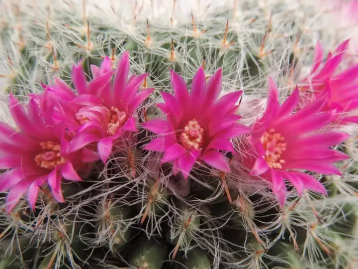 Scaled image DSCN8749.webp 