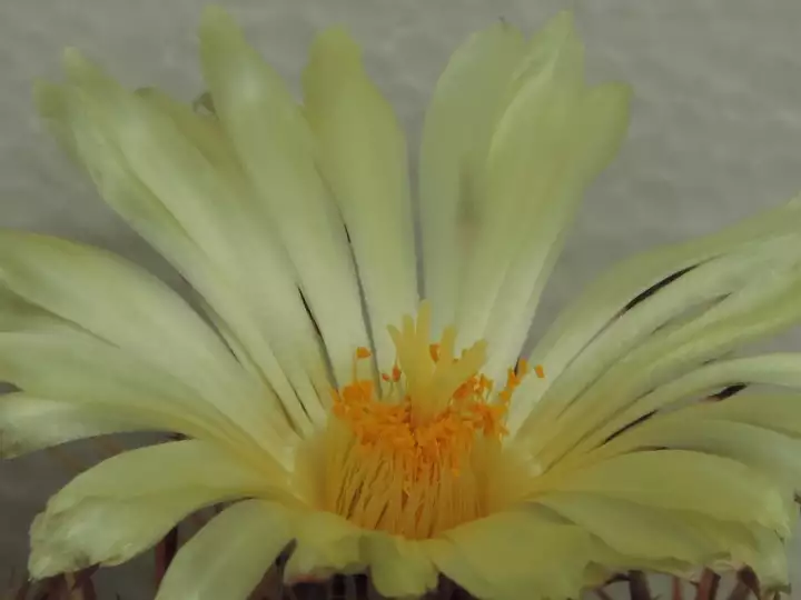 Scaled image DSCN8784.webp 