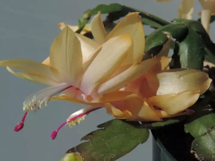 Scaled image DSCN8845_3.webp 