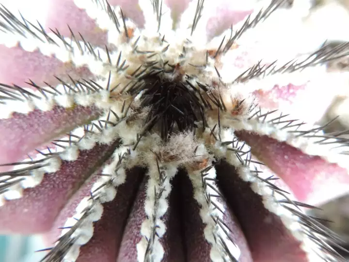 Scaled image DSCN8992_3.webp 