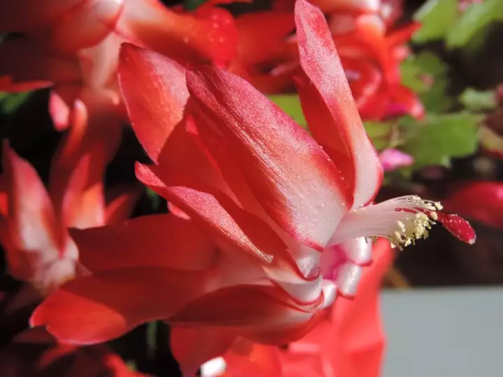 Scaled image DSCN9071.webp 