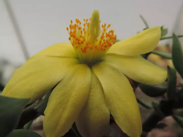 Scaled image DSCN7582.webp 