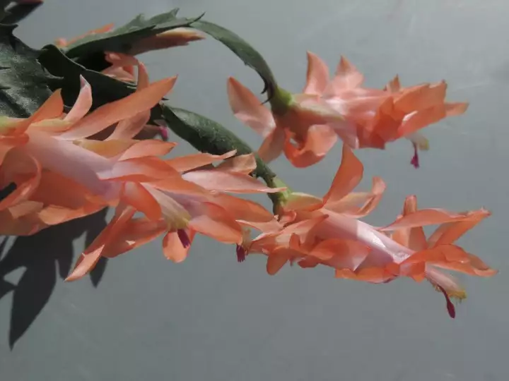 Scaled image un_014.webp 