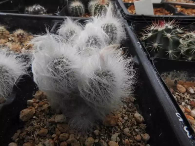 Scaled image unnamed_030.webp 