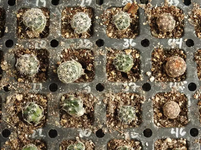 Scaled image unnamed_028.webp 