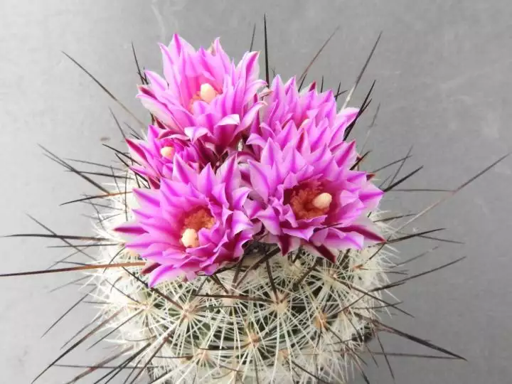 Scaled image unnamed09.webp 