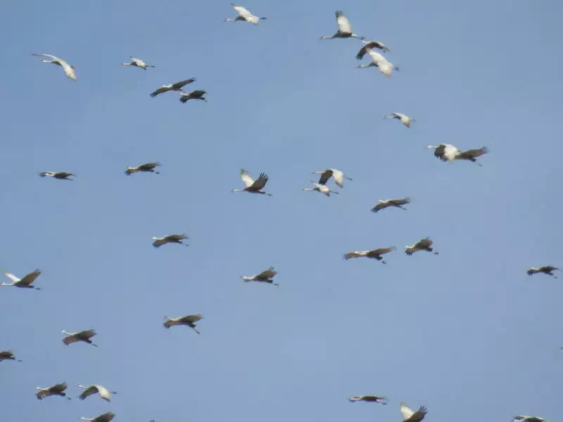 Scaled image un01.webp 