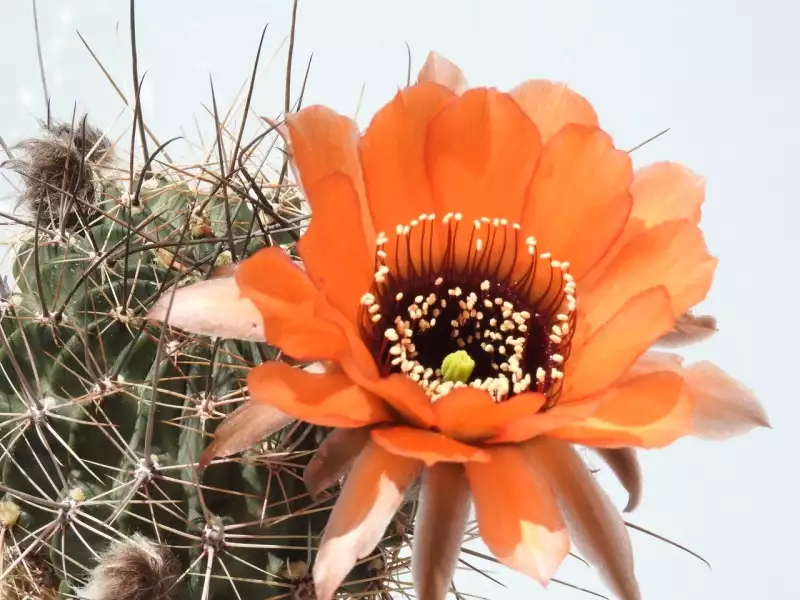 Scaled image un03.webp 