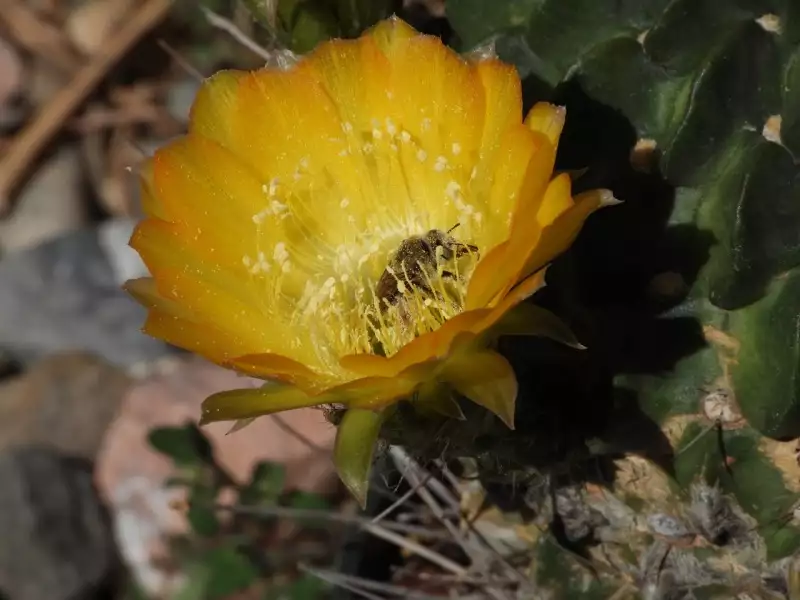 Scaled image p34.webp 