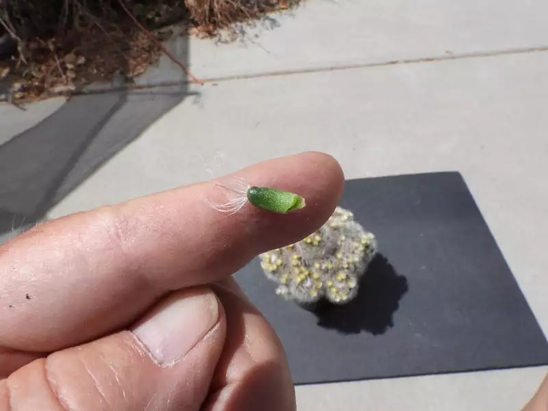 Scaled image p41.webp 