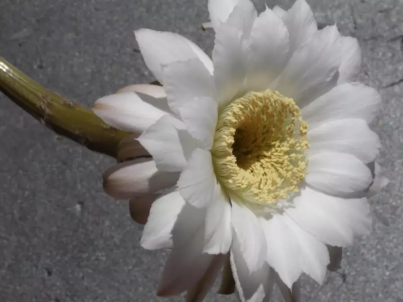 Scaled image p56.webp 