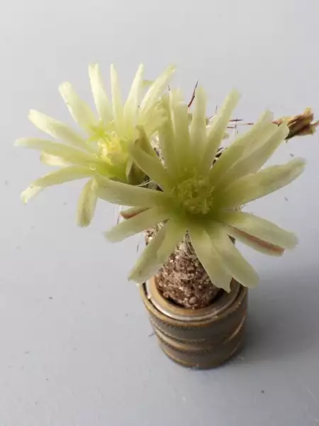 Scaled image p09.webp 