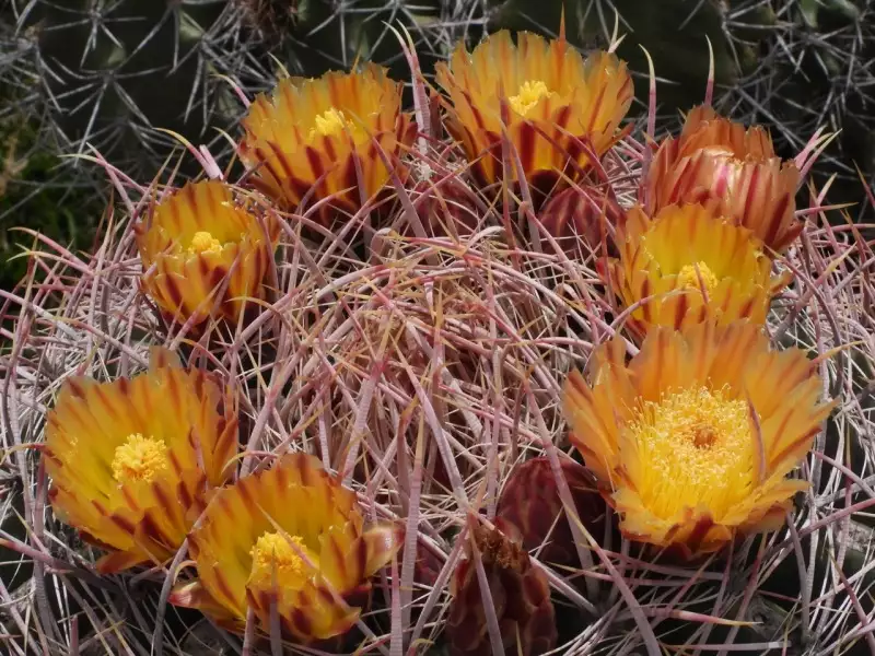 Scaled image p36.webp 