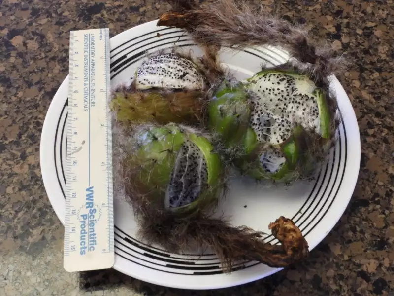 Scaled image p01.webp 