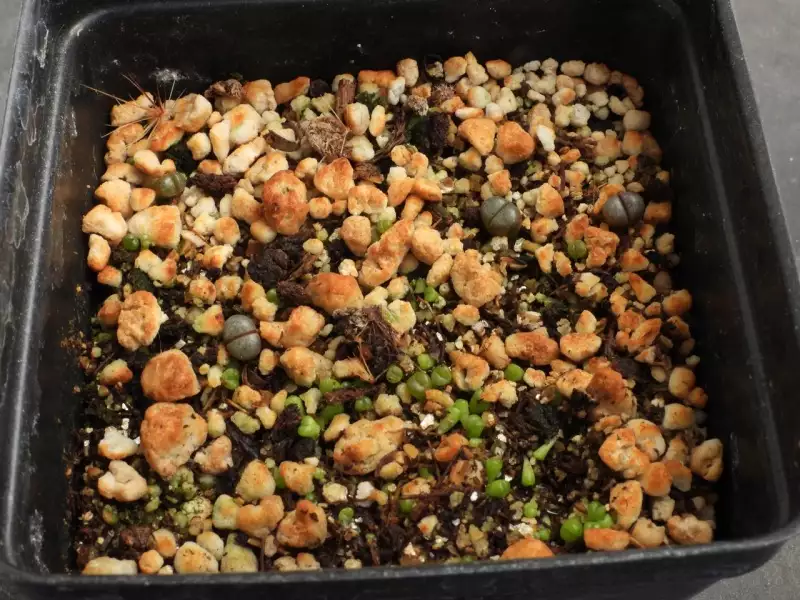 Scaled image p11.webp 