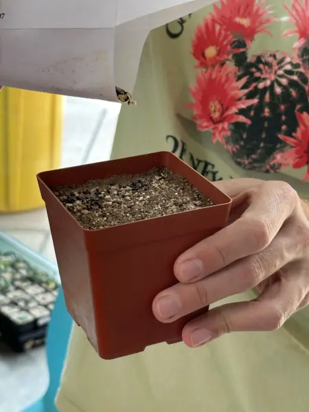 Scaled image IMG_1464.webp 