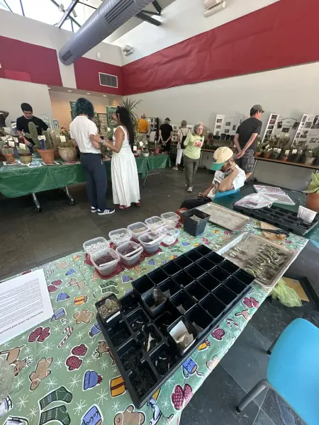 Scaled image IMG_1467.webp 