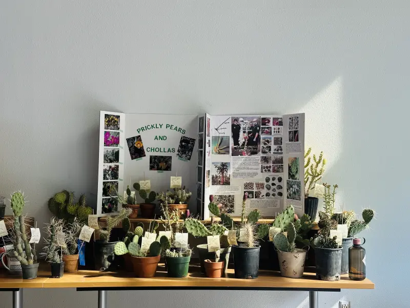 Scaled image IMG_1468.webp 