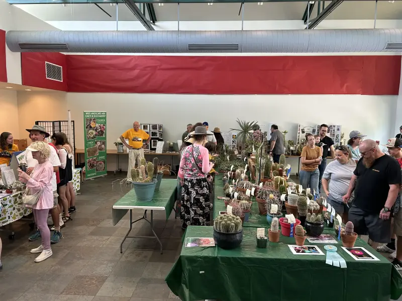 Scaled image image0.webp 