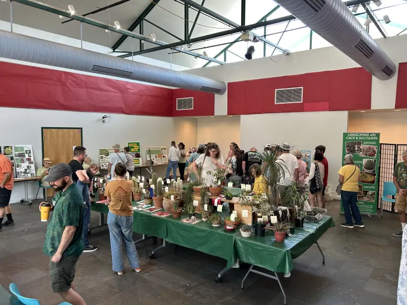 Scaled image image1.webp 