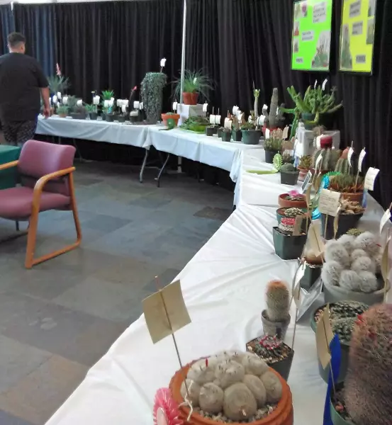 Scaled image 2017BP01-READYFORTHEFIRSTVISITORS.webp 