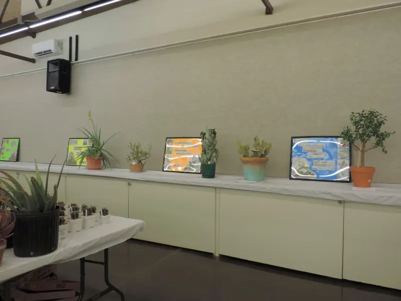 Scaled image DSCN0797.webp 