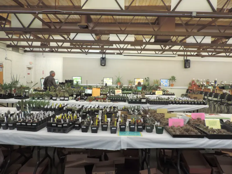 Scaled image DSCN0801.webp 