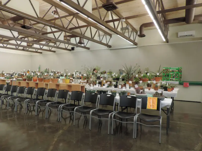 Scaled image DSCN0802.webp 