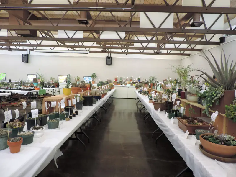 Scaled image DSCN0803.webp 