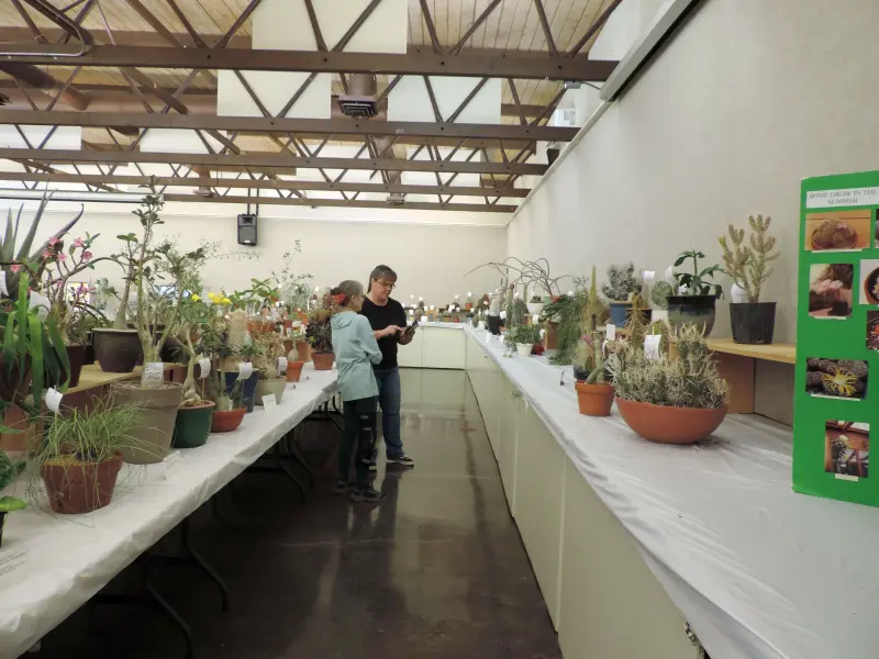 Scaled image DSCN0804.webp 