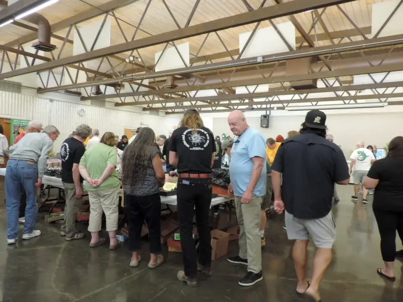 Scaled image DSCN0805.webp 