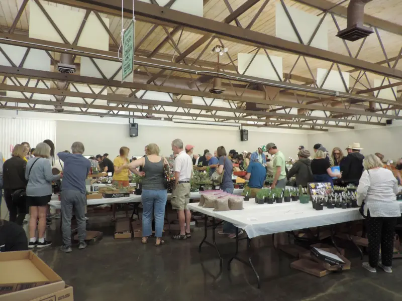 Scaled image DSCN0806.webp 