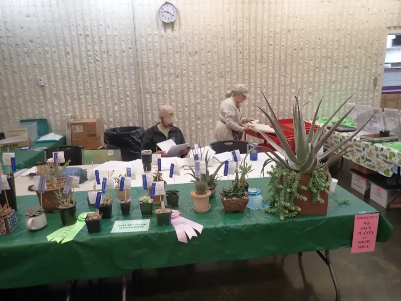 Scaled image P4124189.webp 