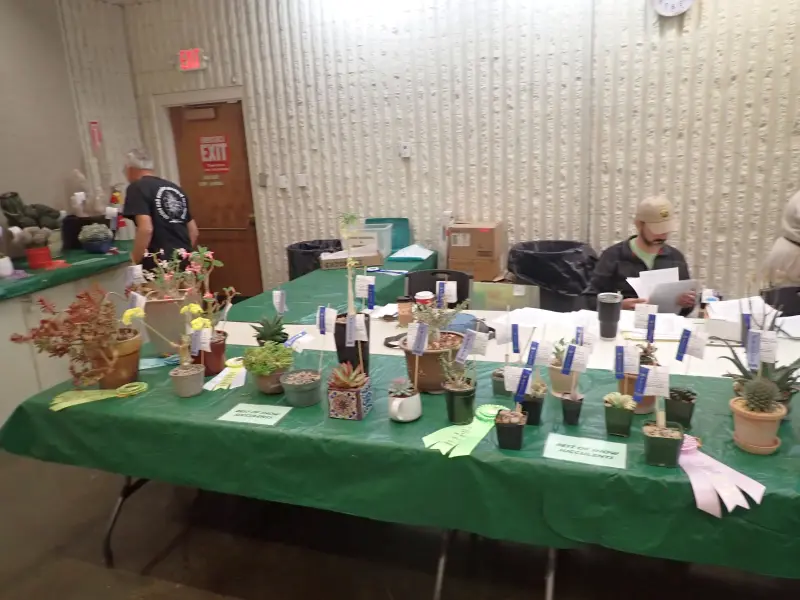 Scaled image P4124190.webp 