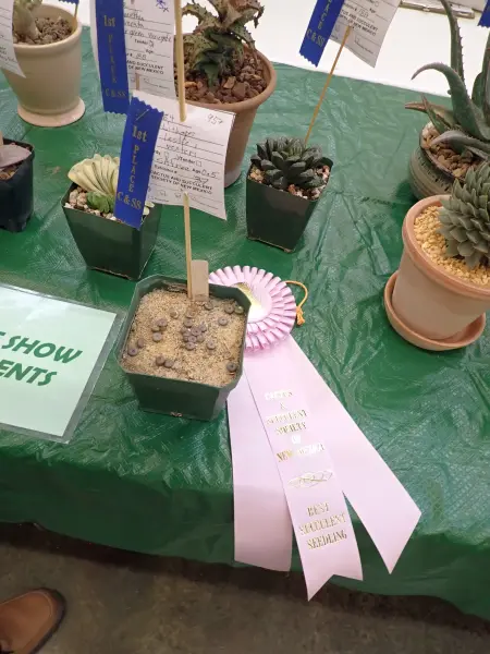 Scaled image P4124192.webp 