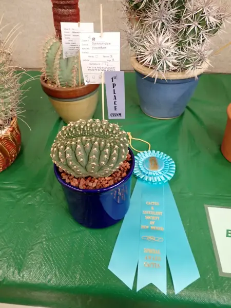 Scaled image P4124200.webp 