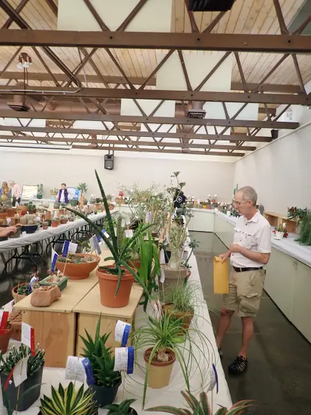 Scaled image P4124203.webp 