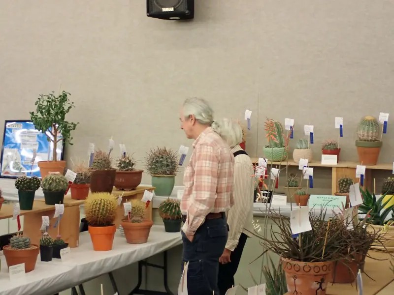 Scaled image P4124205.webp 