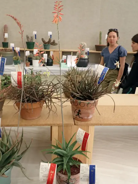 Scaled image P4124210.webp 