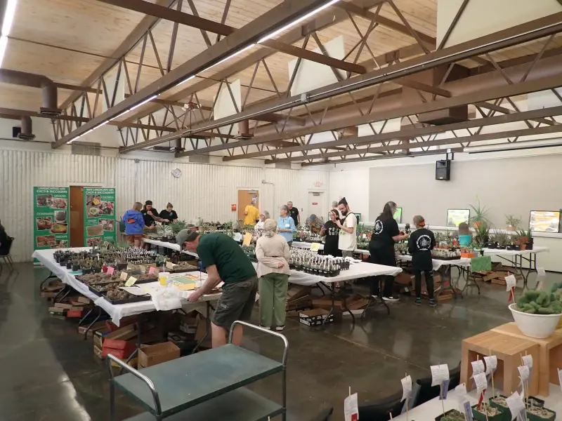 Scaled image P4124215.webp 